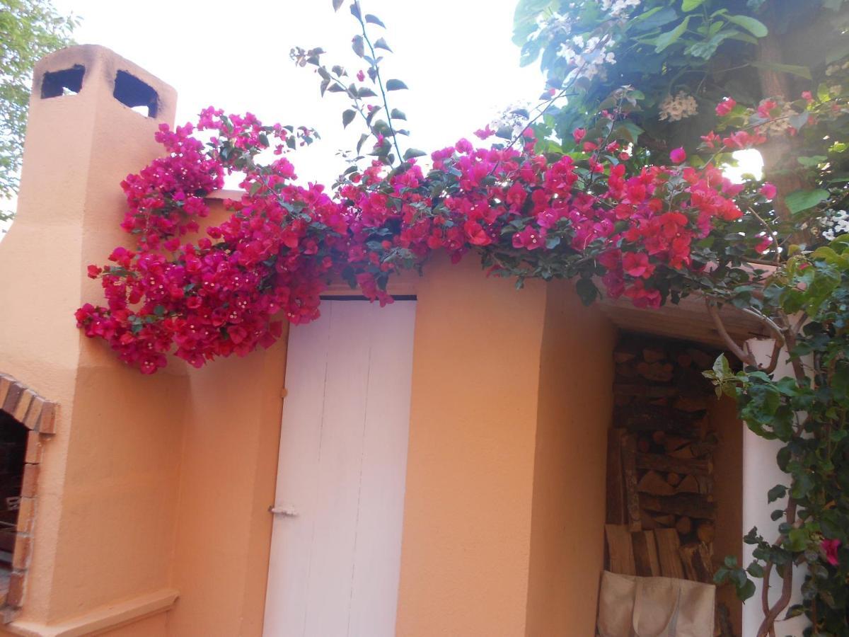 Maison De Pecheur تولون المظهر الخارجي الصورة